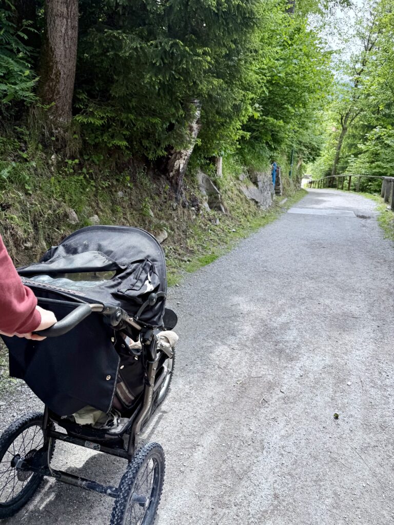 Trekking Buggy Verleih Haus Hirt Bad Gastein