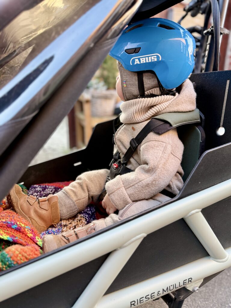 Cargo-Bike Riese und Müller